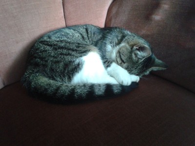 1970-01-01 01.00.00-52.jpg