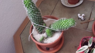 20140914_160225.jpg