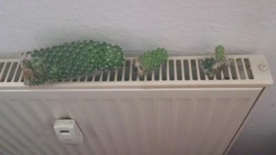 20140915_185133.jpg