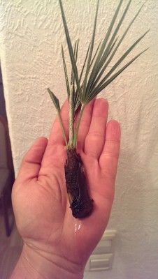 IMAG0109.jpg