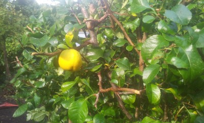 20140919_105123.jpg