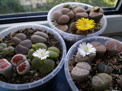 20140927_164303.jpg
