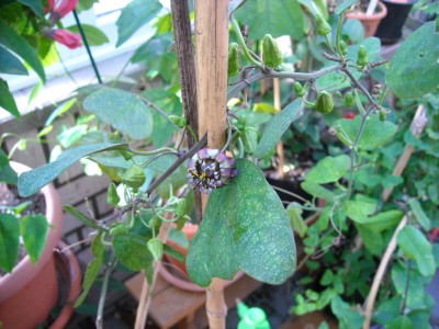 DSCN2651.JPG
