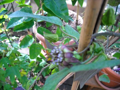 DSCN2652.JPG