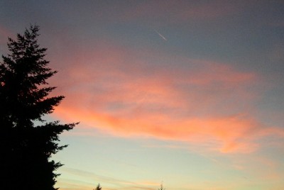 PICT0195.JPG