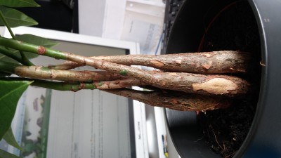 20141005_140450.jpg