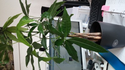 20141005_140455.jpg