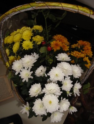 DSC08998.JPG