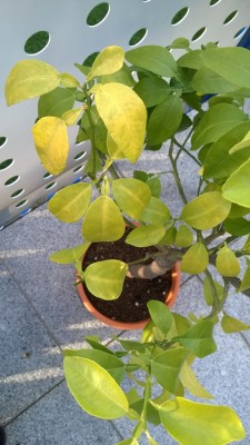 WP_20141008_003.jpg