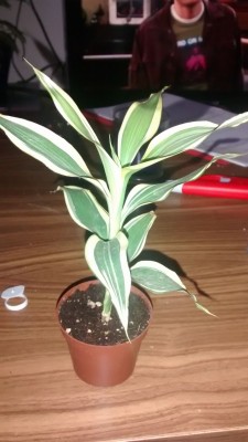 IMG-20141011-WA0006.jpeg