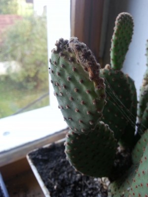 20141016_144319.jpg