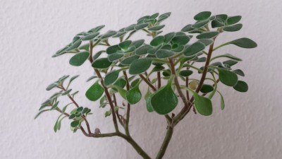 20141016_150708.jpg