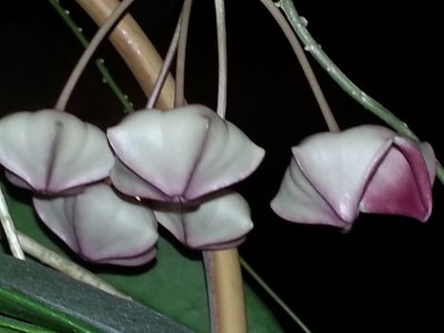 20141017_214604.jpg