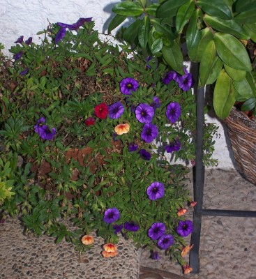2014-10-19 007b.jpg