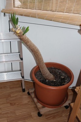 20130402_07.JPG