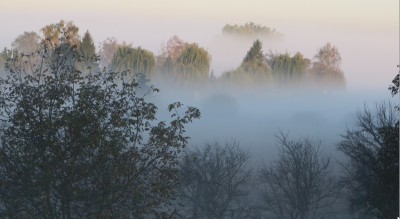 Herbst2.jpg