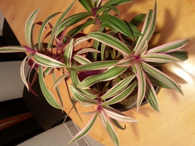 20141020_204825.jpg