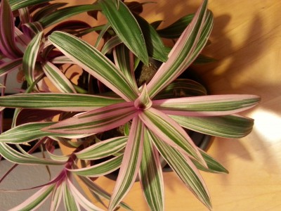 20141020_204815.jpg