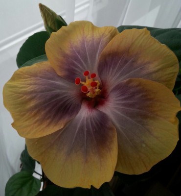 2014-10-11 10.49.08-2.jpg