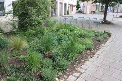 Pflanzbeet1 Gesamt 2.JPG