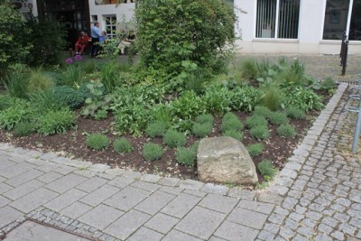 Pflanzbeet1 Gesamt 3.JPG