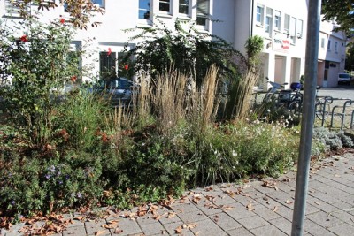 Pflanzbeet1 Gesamt 5.JPG