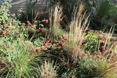 Pflanzbeet1 Gesamt 9.JPG