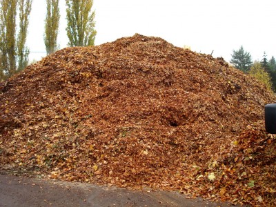 14.herbst.jpg