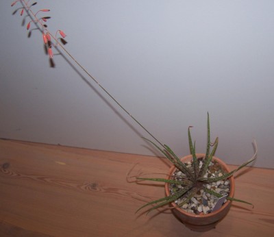 2014-10-26 005b.jpg