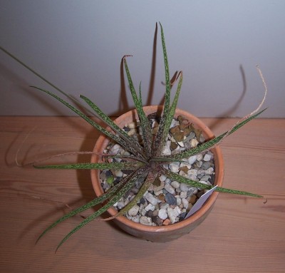 2014-10-26 006b.jpg