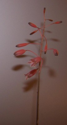 2014-10-26 009.jpg