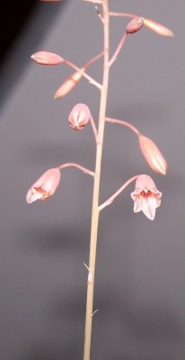 2014-10-26 011.jpg