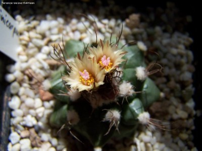 100_0341_640x480.jpg
