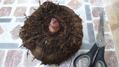 20141029_120513.jpg
