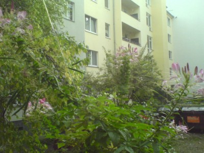 DSC00098.JPG