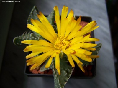 100_0378_640x480.jpg