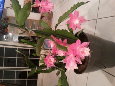 20141105_211331.jpg