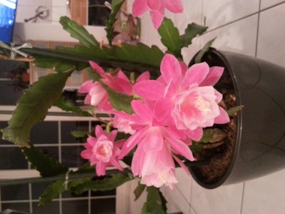 20141105_211305.jpg