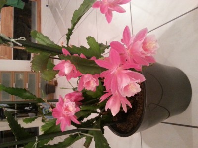 20141105_211249.jpg