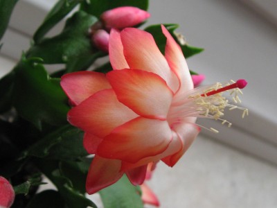 IMG_8417.JPG
