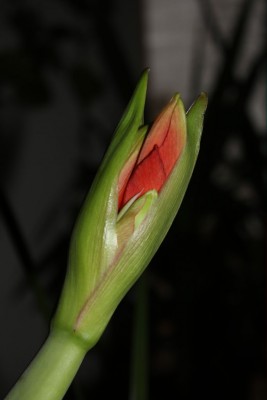 20141110_01.JPG
