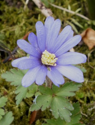 20130413_06.jpg