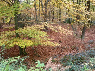 PICT0213.JPG