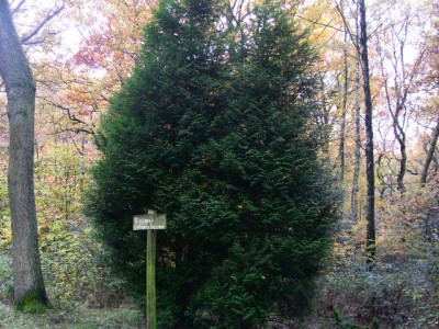 PICT0207.JPG
