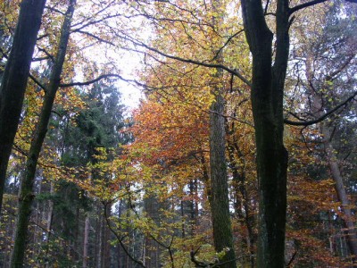 PICT0201.JPG