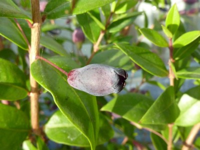 0141012 004 - Kopie.JPG