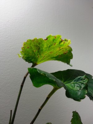 20141115_184846.jpg