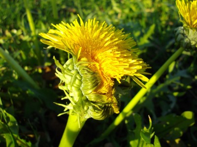 Bild 179.jpg
