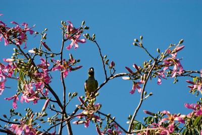 _DSC0698.jpg