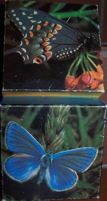 Puzzle 2014-03-24 002.jpg